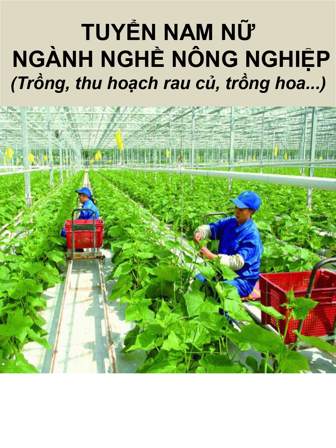 đơn hàng